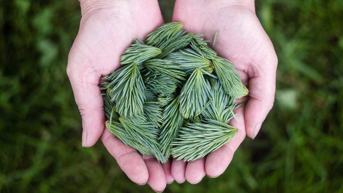 连续剧阵地简介