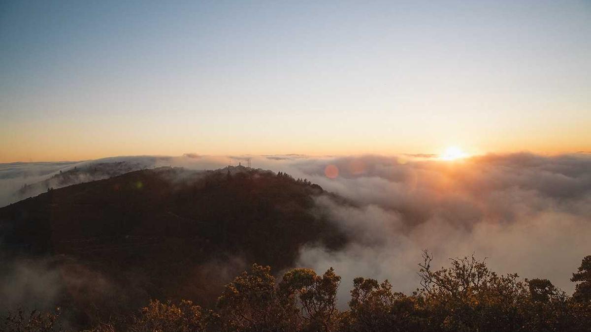 杨祖斌的主要经历