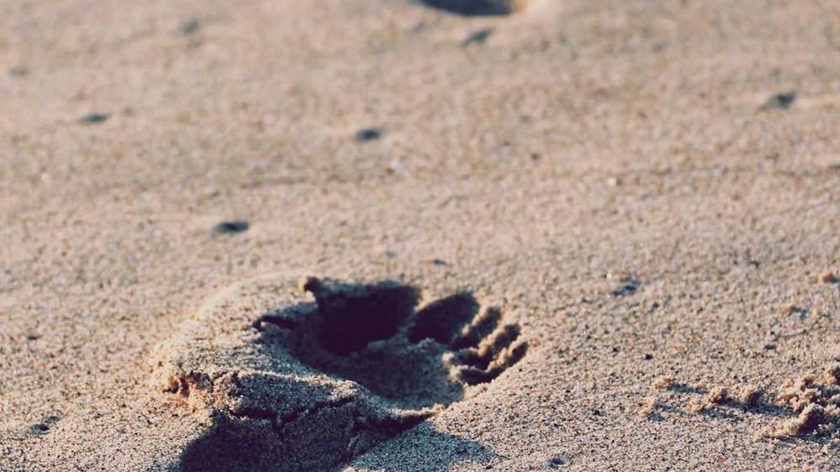 安庆市人民政府的机构设置