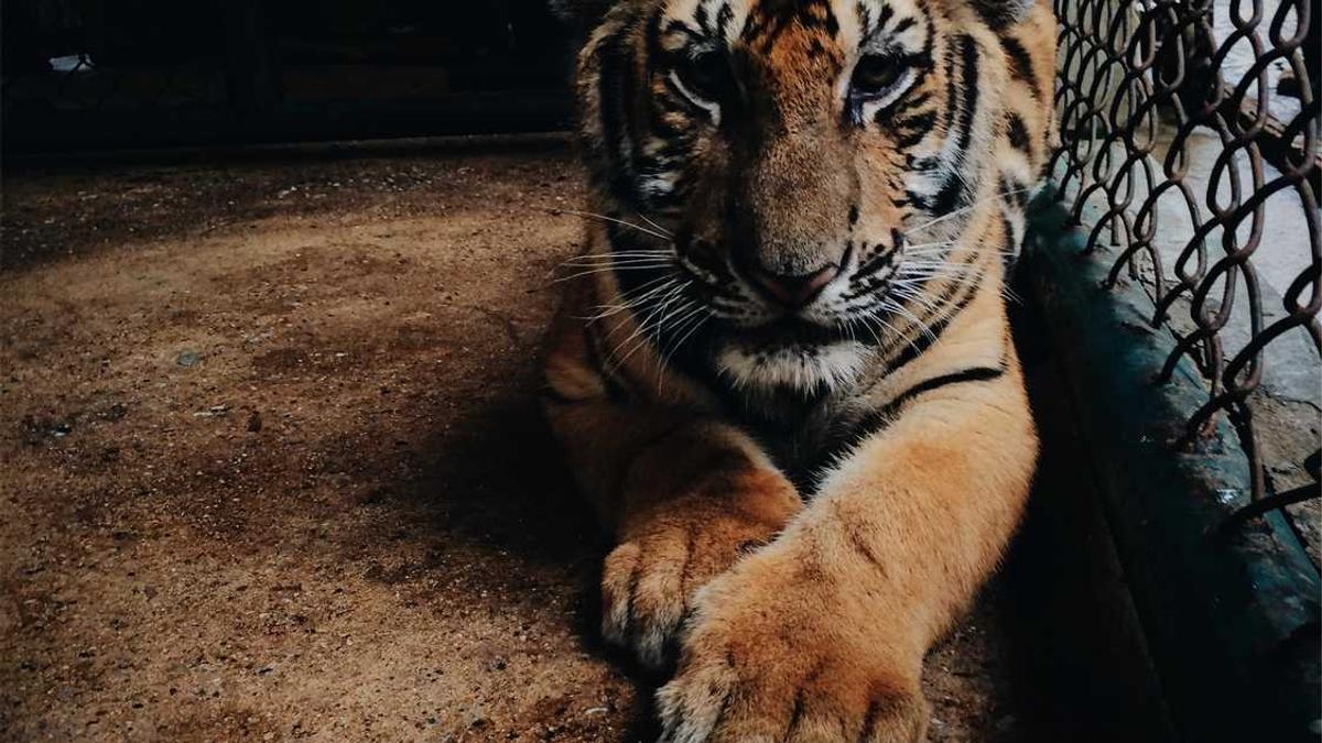 4-5日又有弱冷空气补充,广东人大衣继续穿起来 最新广东天气预报