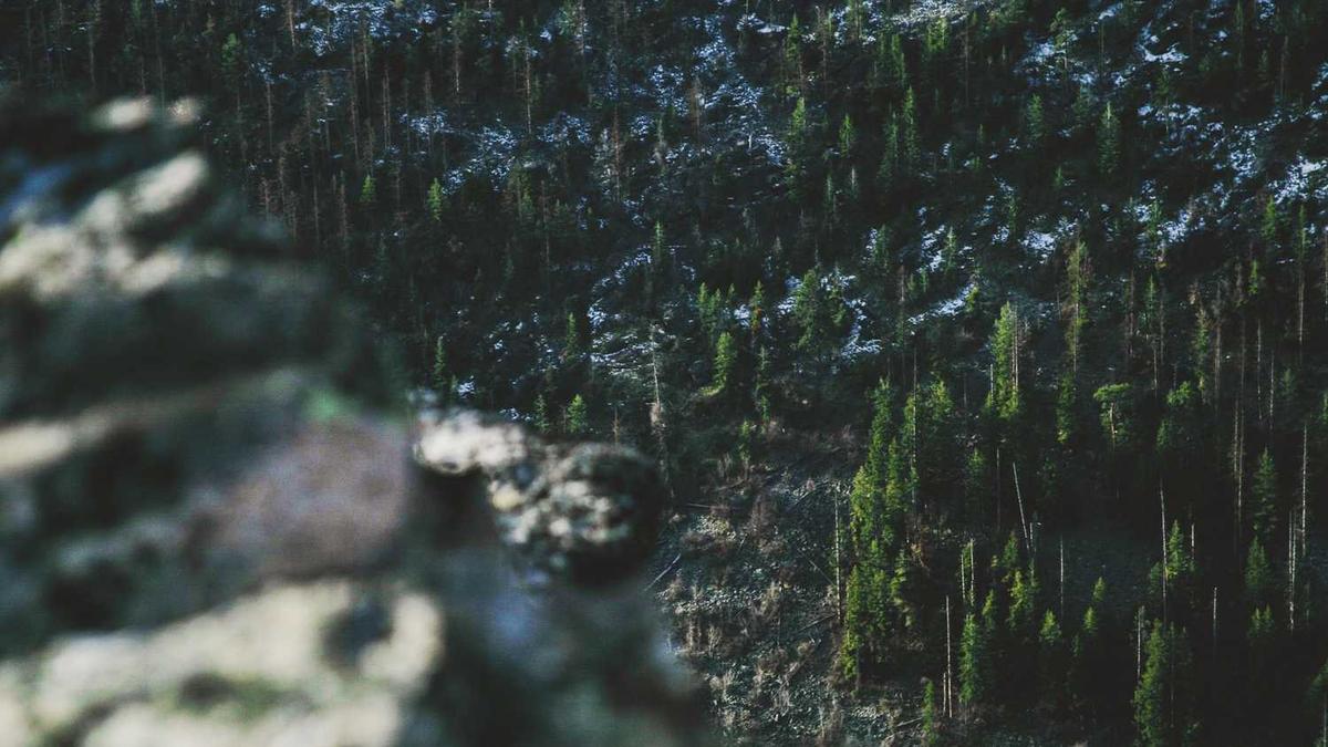 扬州龙川能源装备有限公司怎么样