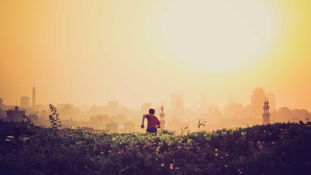 【法治日报】专访张雪樵:检察公益诉讼守护美好生活