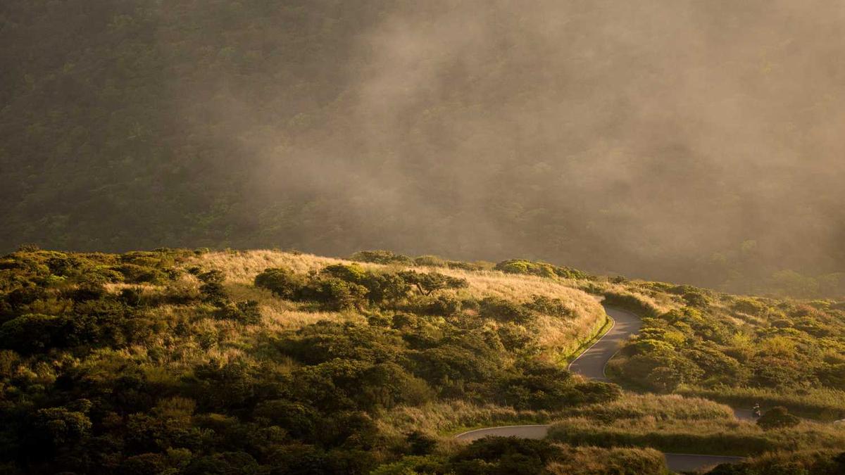 机关单位党建工作年度总结范文