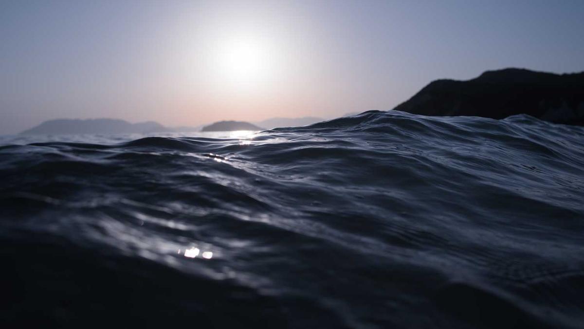 《八月照相馆》txt全集下载