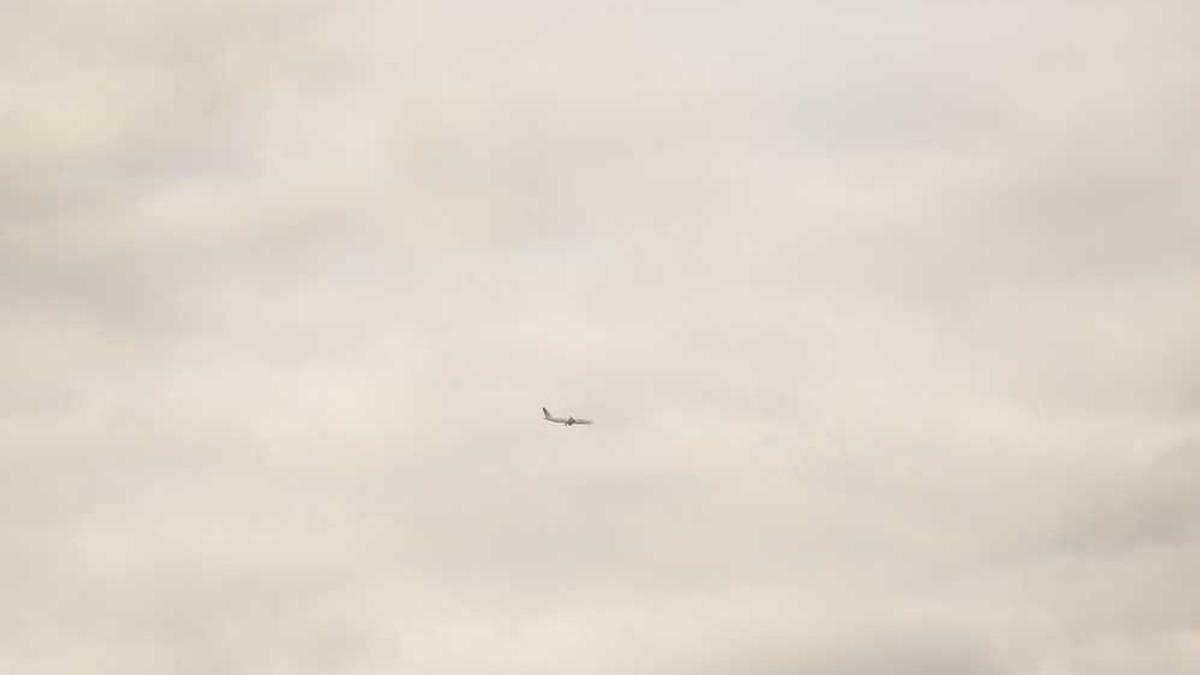 电动车相关法规,如何上牌以及选购?(深圳)