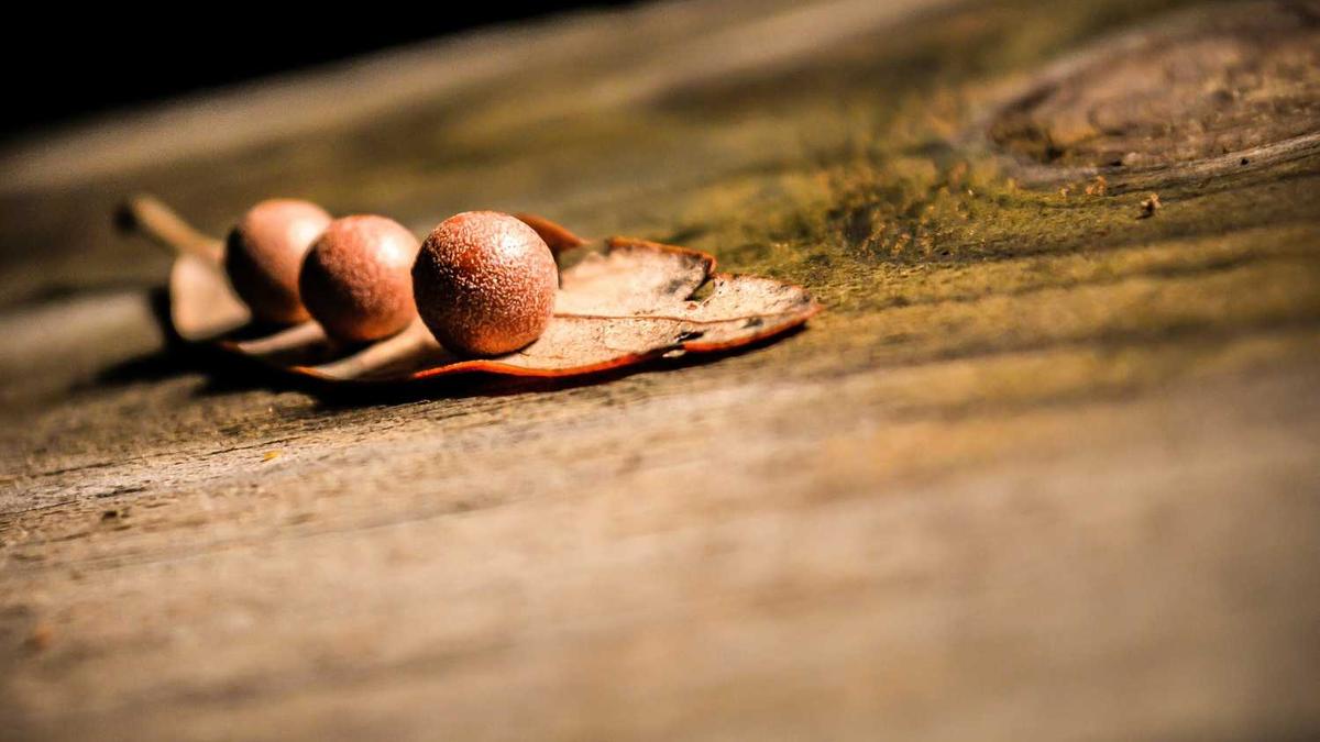 国庆期间梧州天气