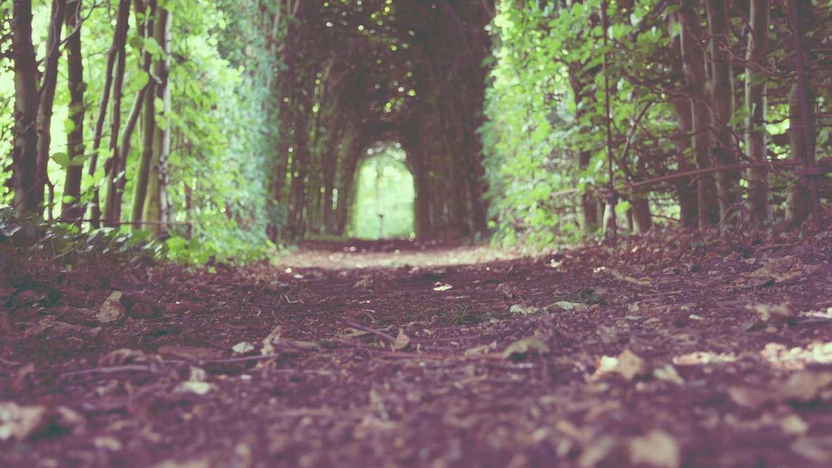 辽宁天气预报市排序