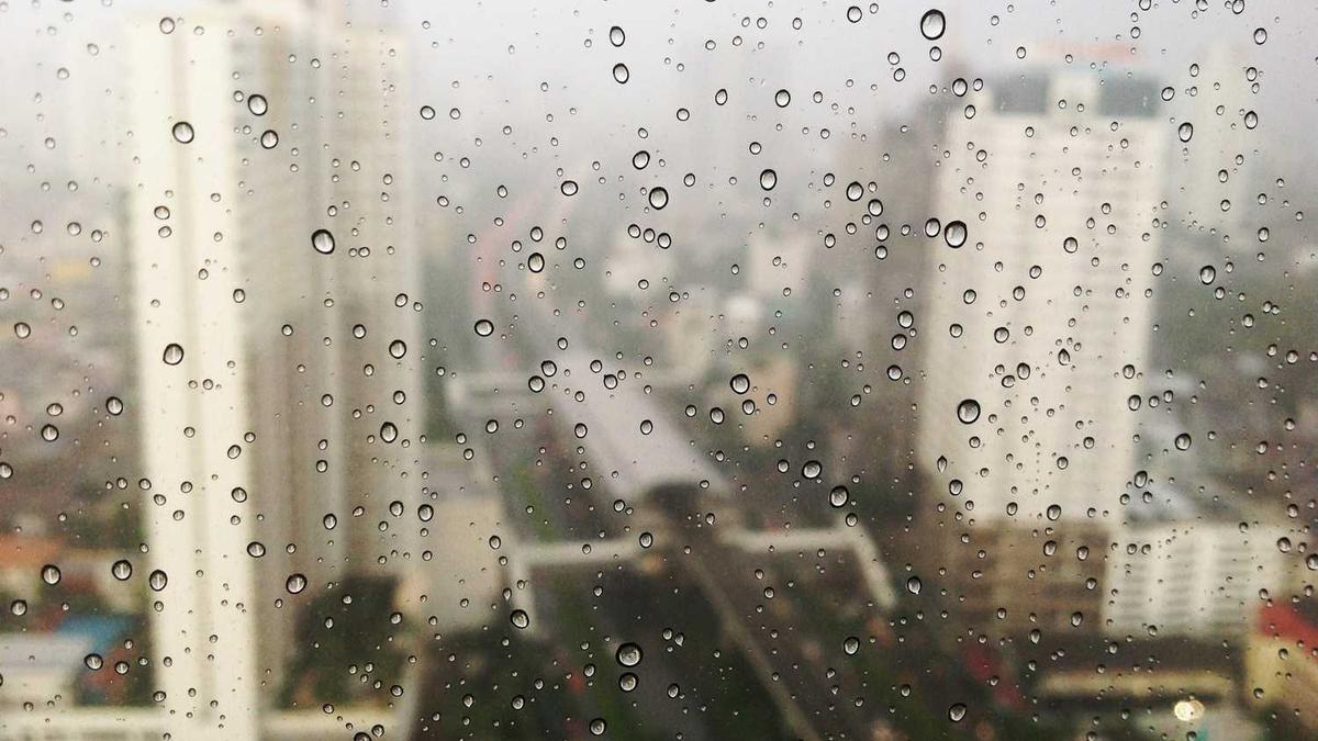 河南省周口市城区地图