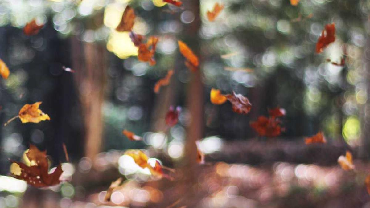 鄂尔多斯集团包括哪些?