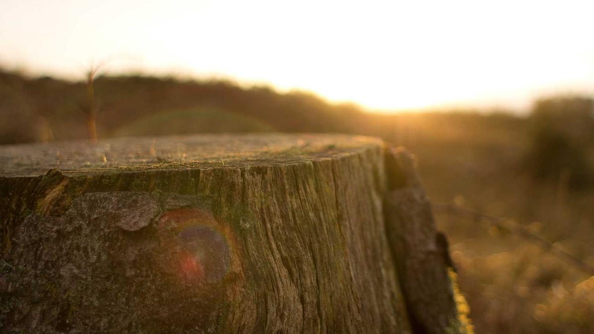 天津最好的10所大学