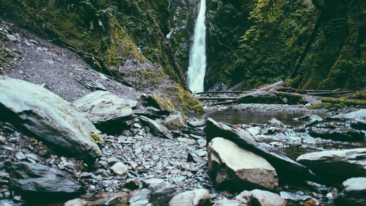 上海的闲猫公寓怎么样?