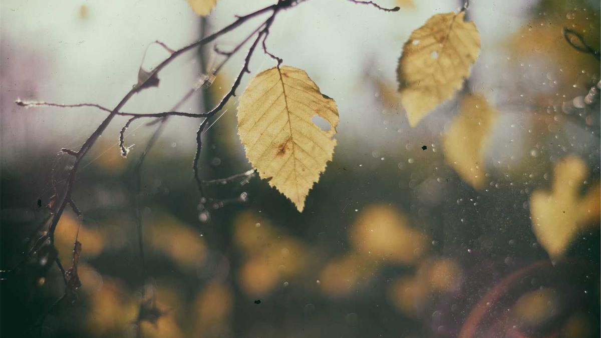 ...可以做飞机或者汽车什么都可以,云南自助旅游攻略山东