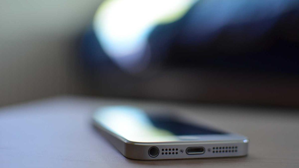 奋楫扬帆 赓续前行