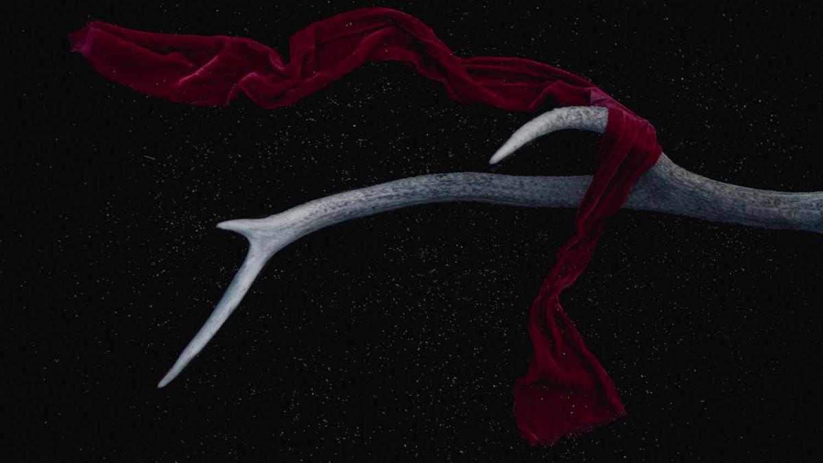 嘉兴热门景点攻略