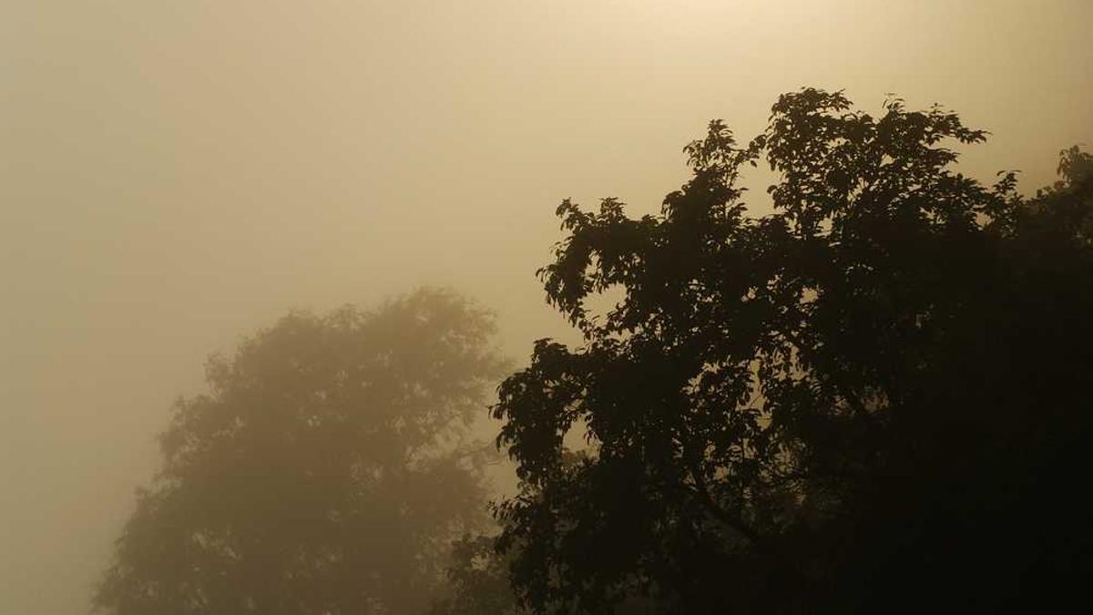 中华性博物馆有哪些文物