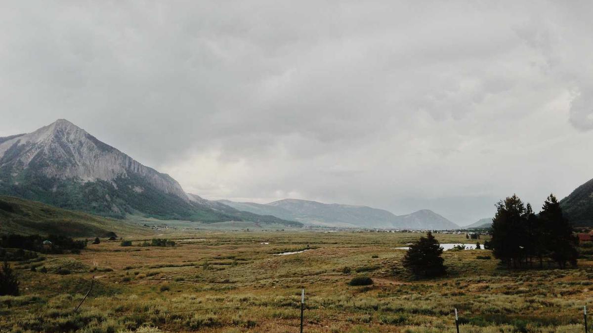 商丘市事业编进面名单