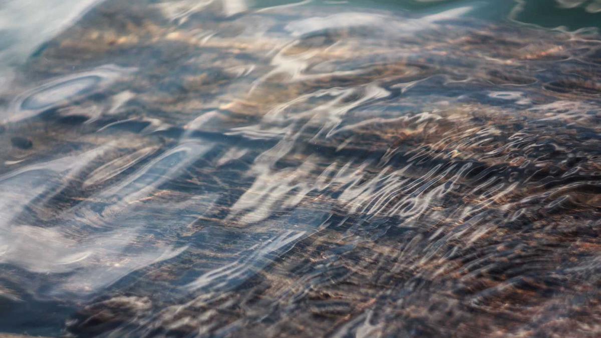 菏泽牡丹节几月几号2023