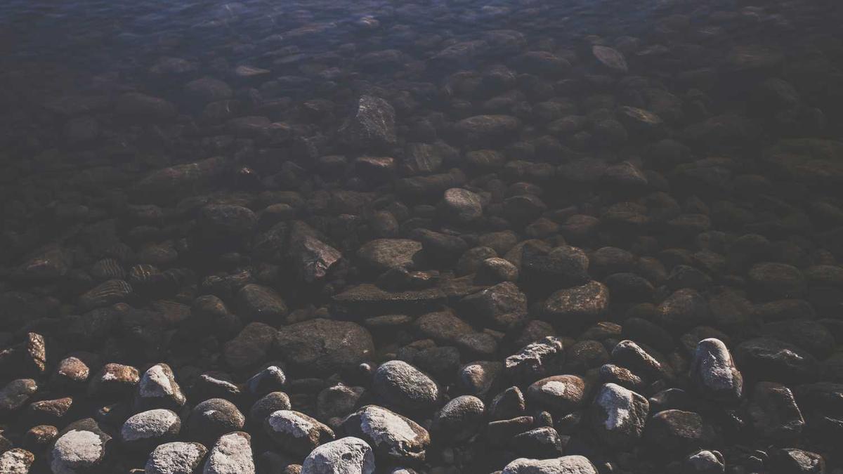 众信旅游属于什么档次