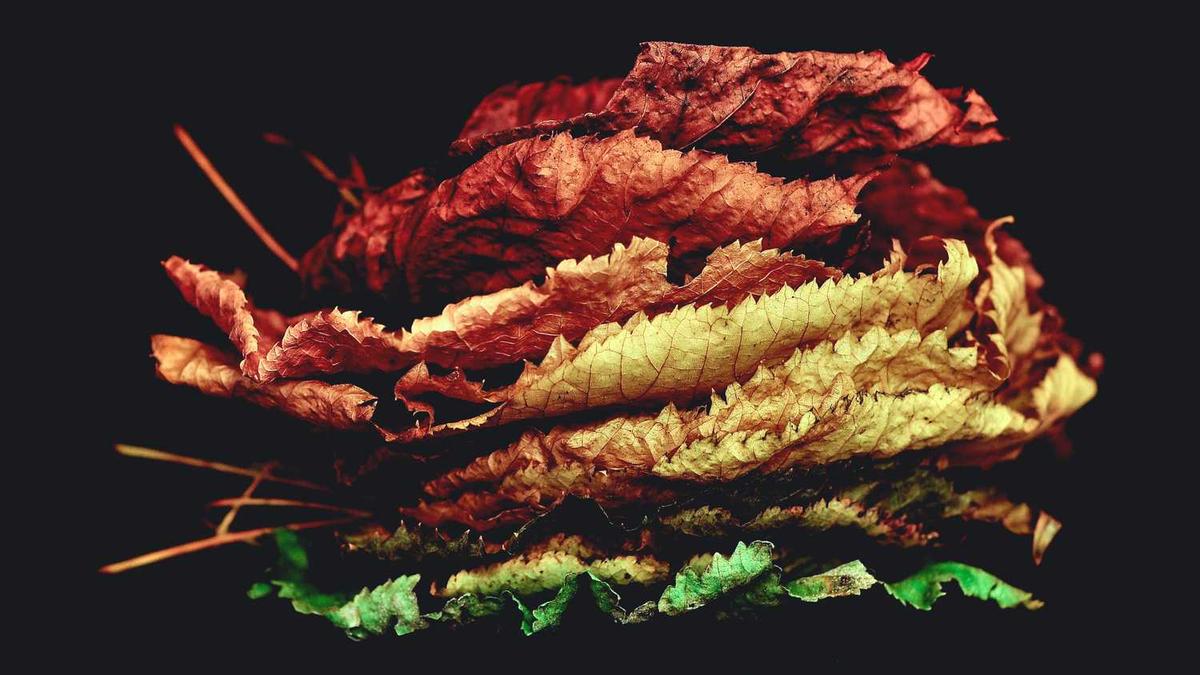 58同镇如何联系客服