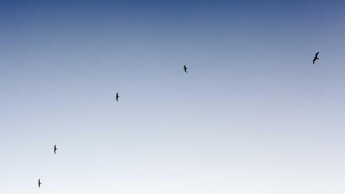 几月份去福建旅游时间最佳(去福建旅游几月份最好)