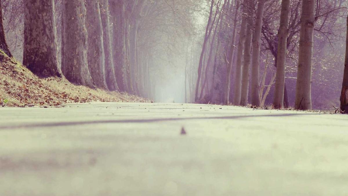 吕梁地区焦煤价格