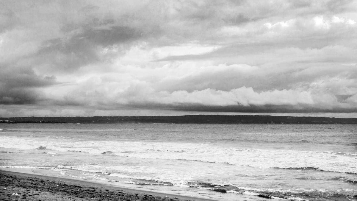 陈俊鹏的主要简历