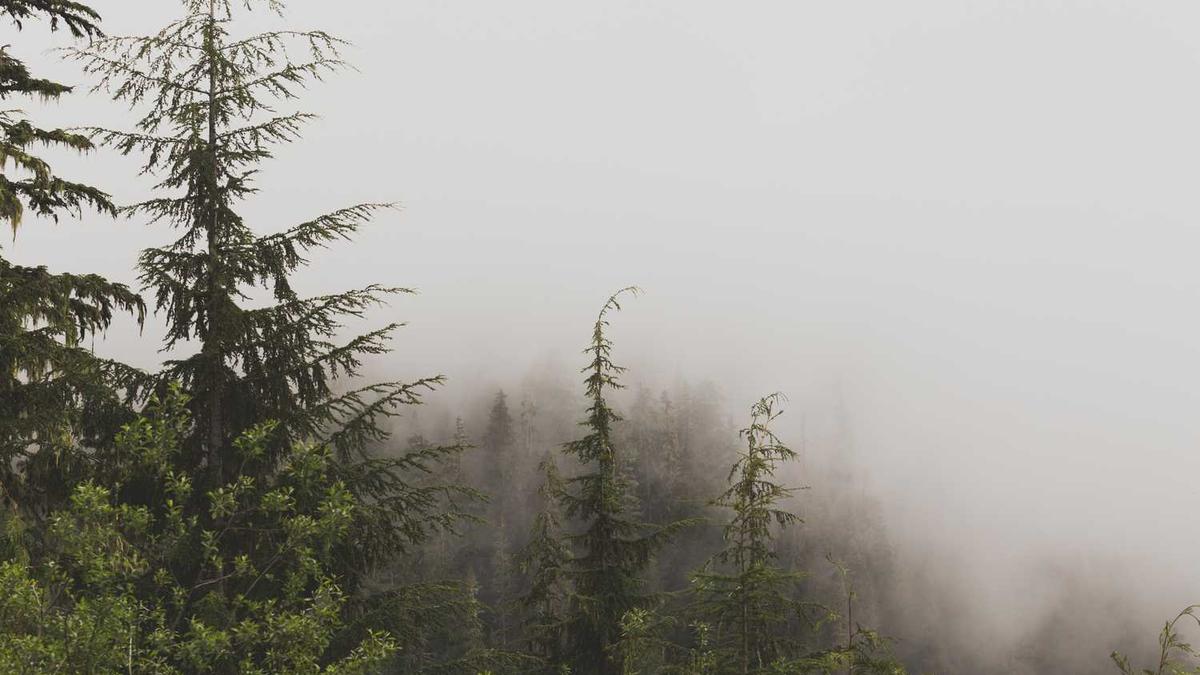 南平有几个三甲医院,南平市三甲医院有哪些?