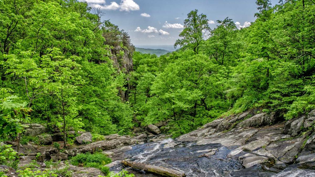 8号线5个站点多少钱一趟