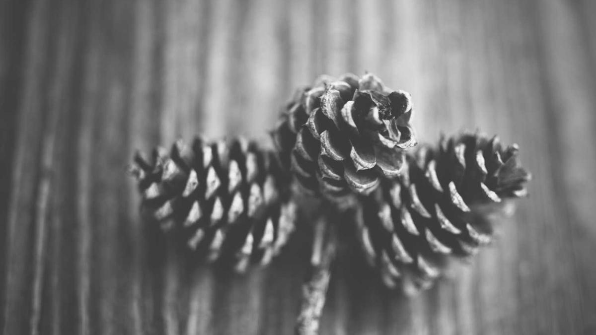 巴中市不夜城在哪个位置