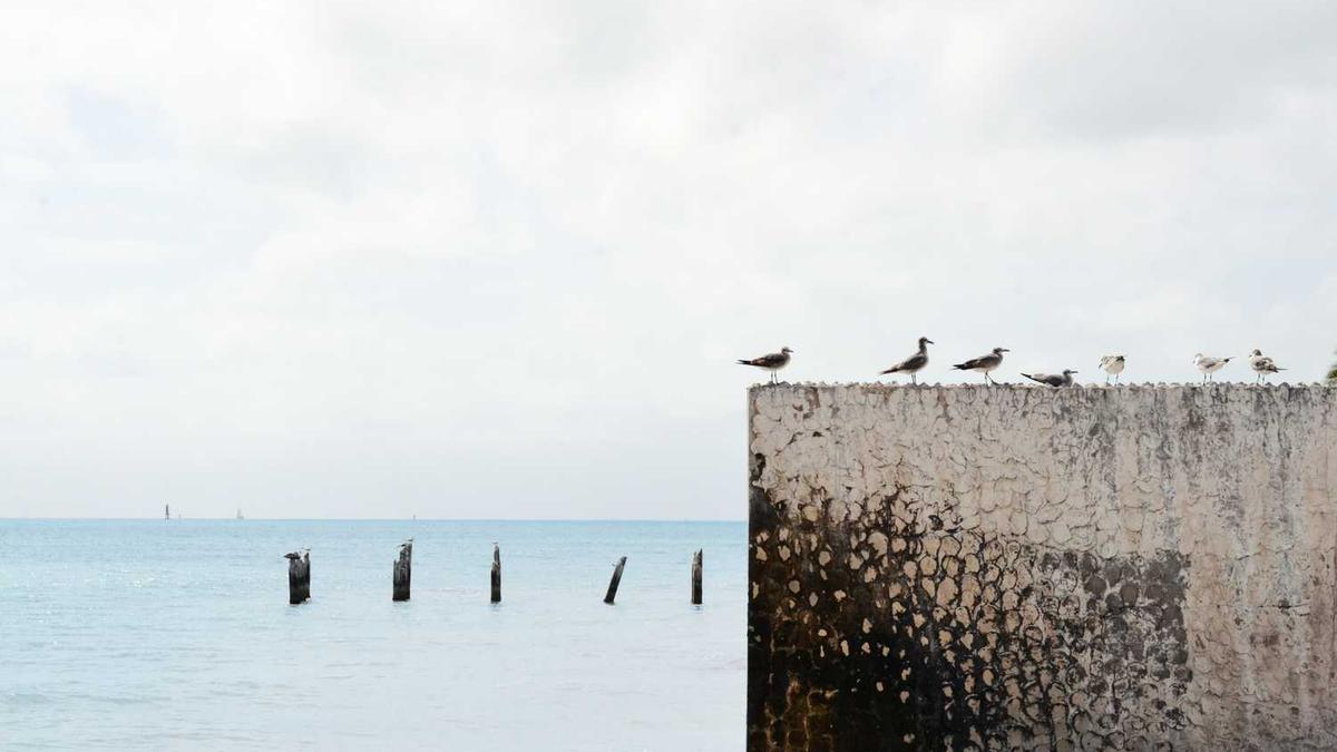 鹤壁市新区汇金广场开业时间