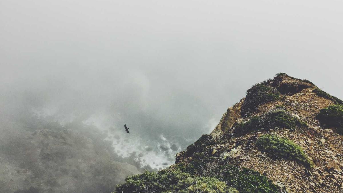 九江学院有哪些学院?