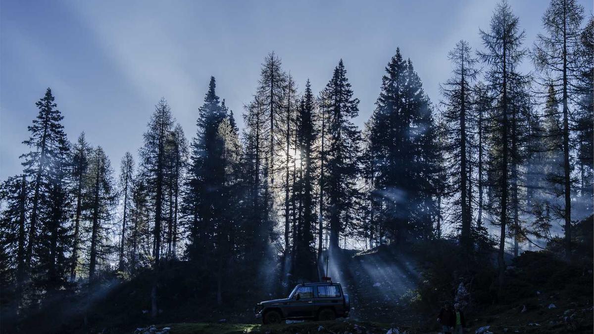 肝癌的相关知识