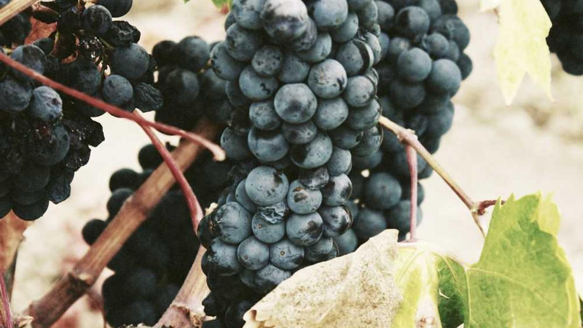 全民健身活动主持词结尾