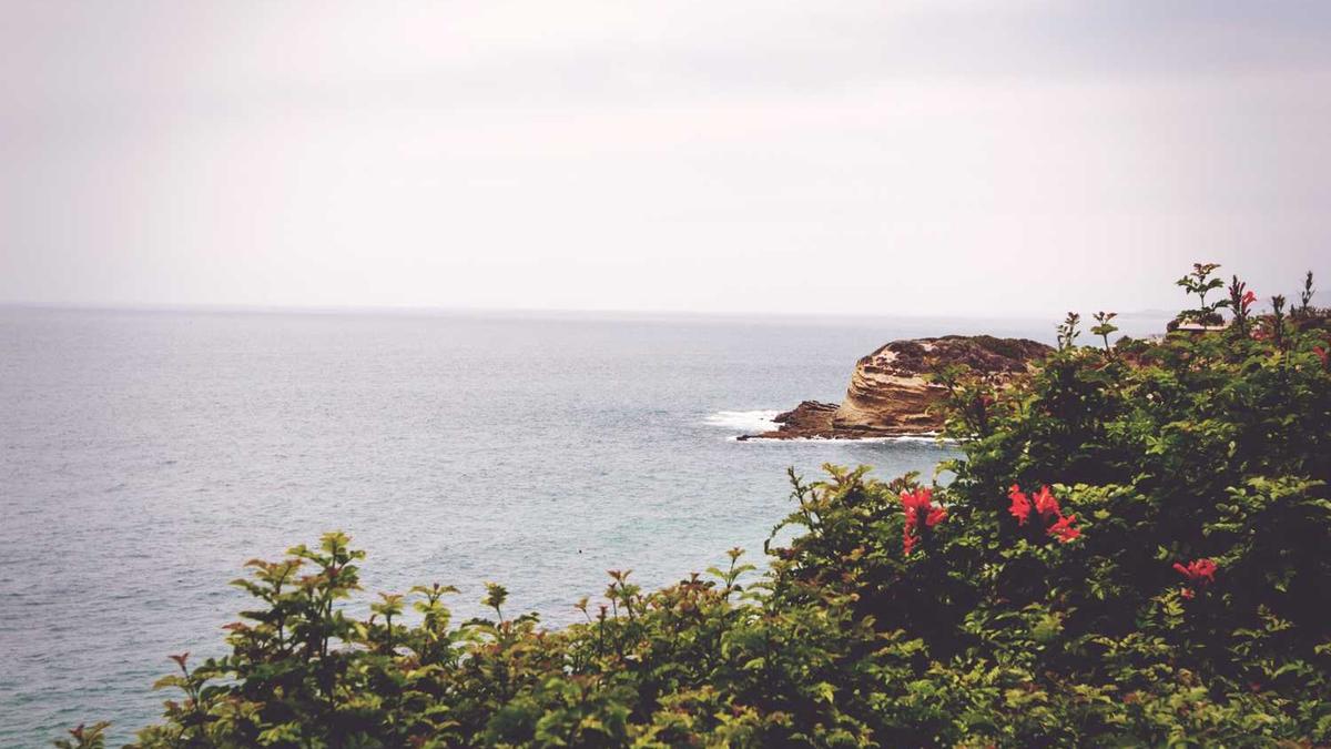 甲基六氢苯酐哪家价格低?