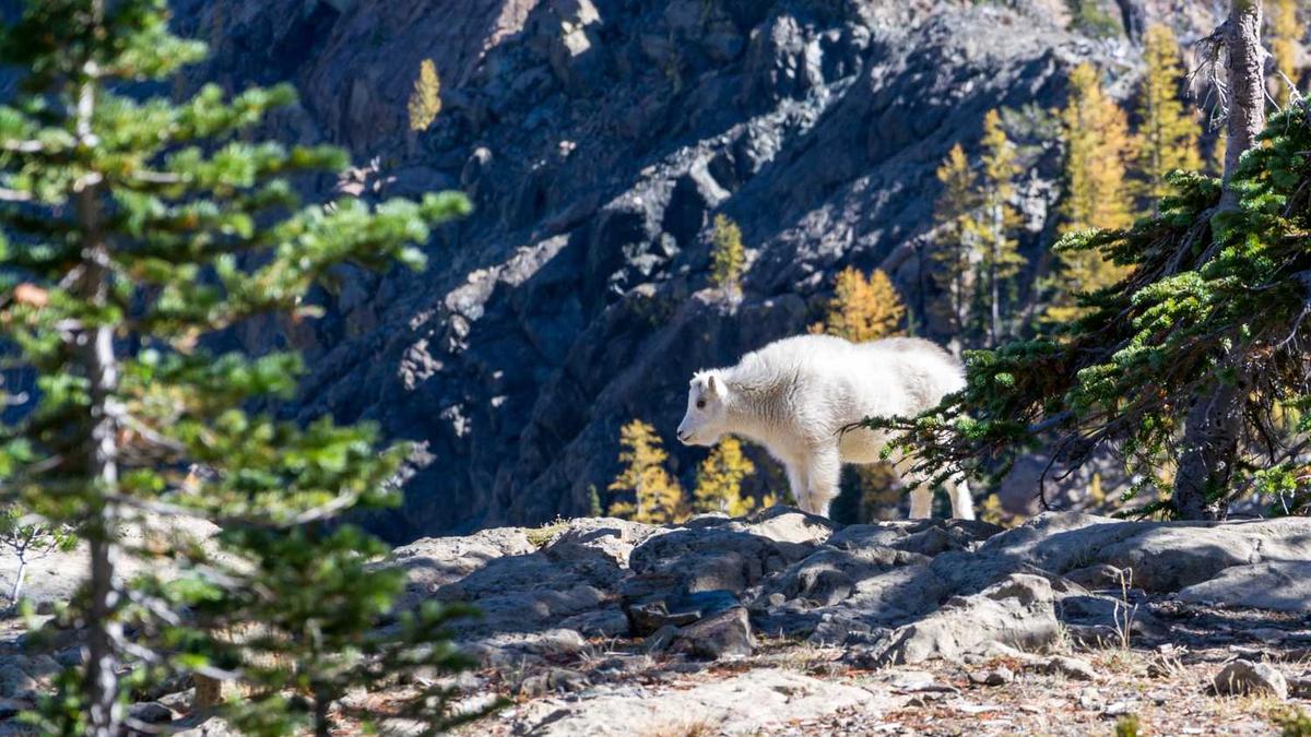 台风来临前私家车为什么不驾离广东