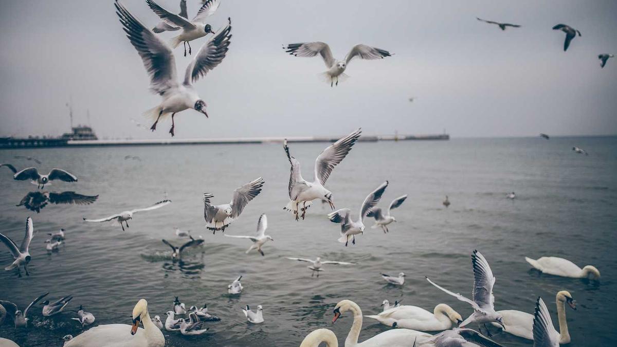 苏州十大特产必买