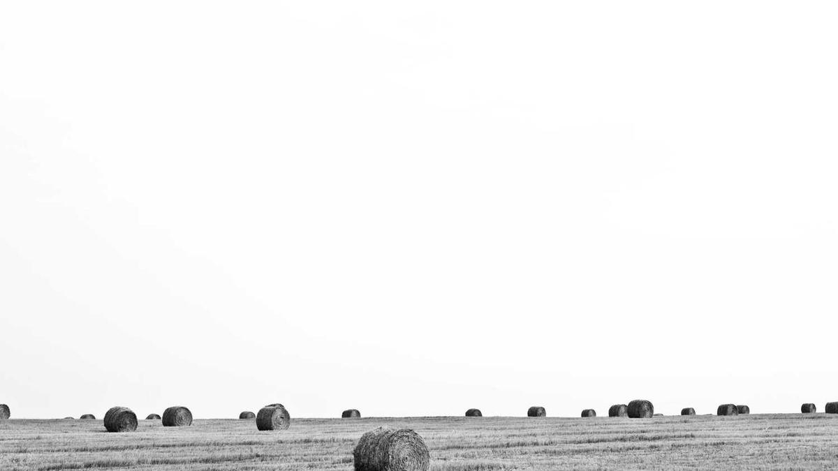 宿迁必去的10个景点