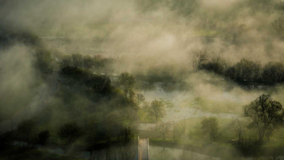 女生纹花臂是一种什么样的体验?