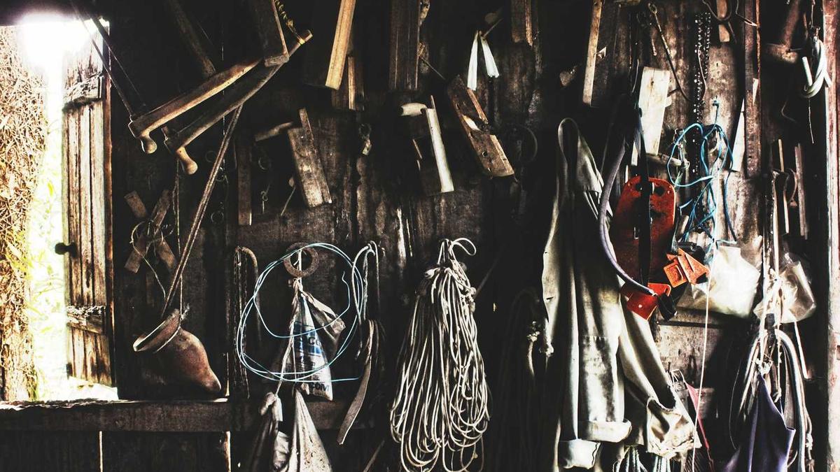 麦德姆在哪里登陆