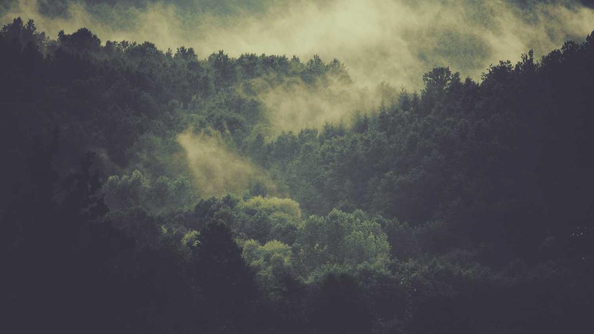 山西郑州属于哪个市