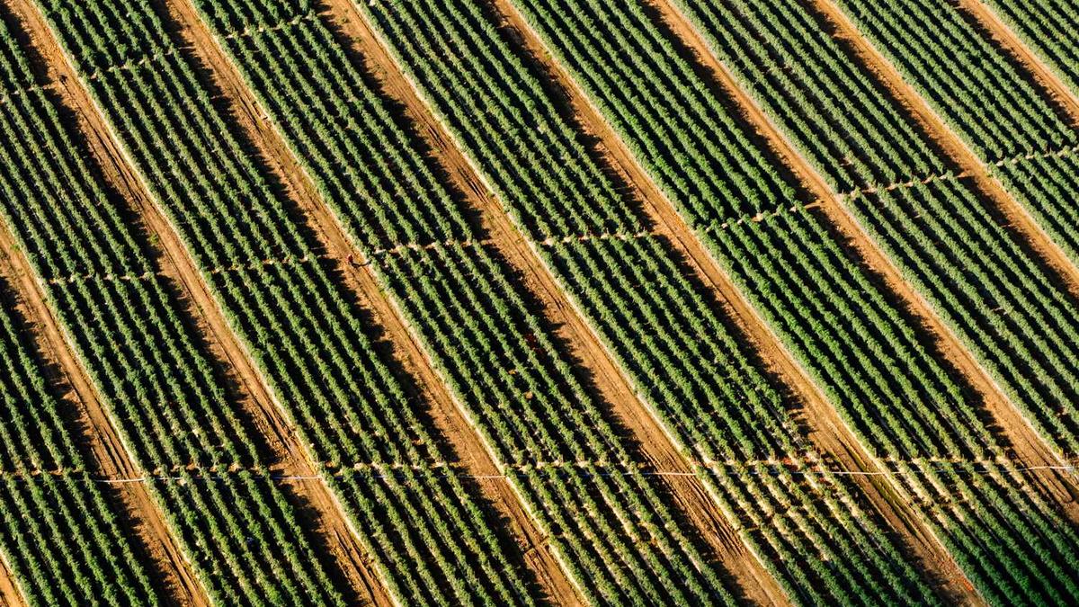 安徽省安庆市一周天气预报