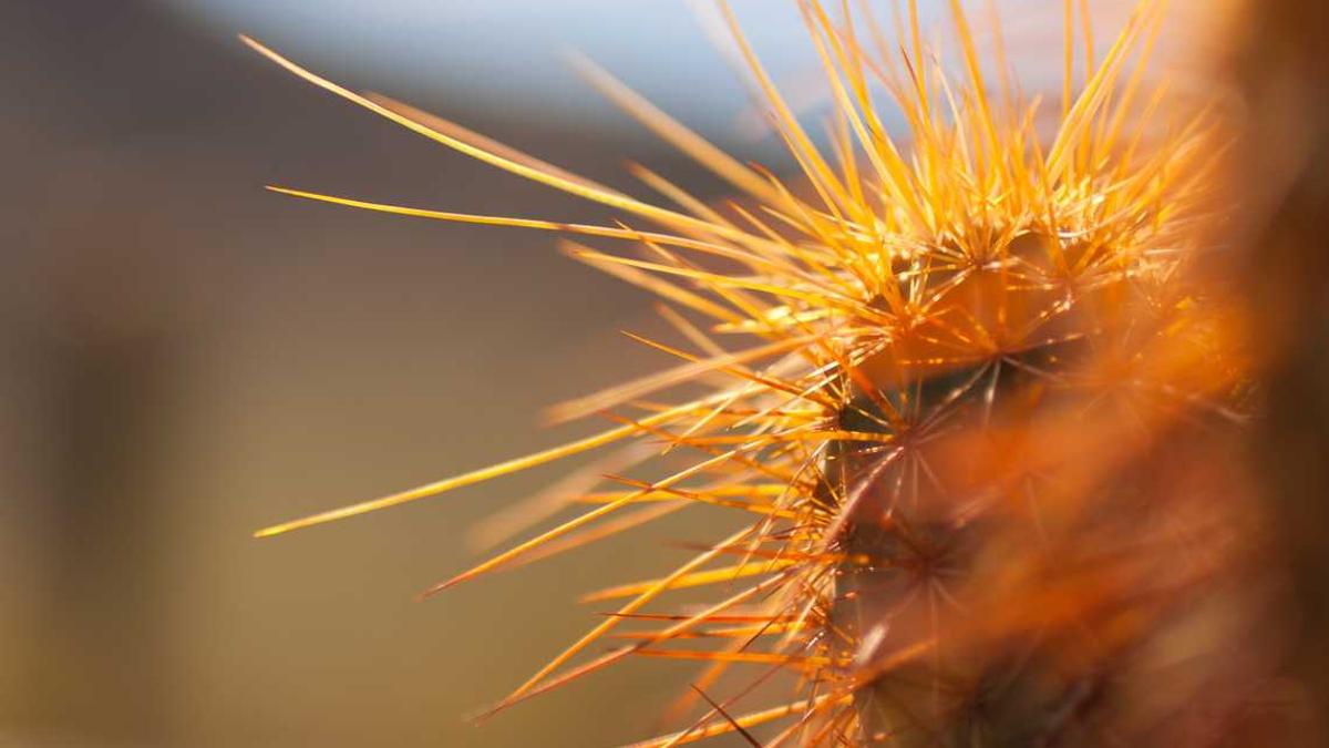 点硬币人工一个小时能点多少枚