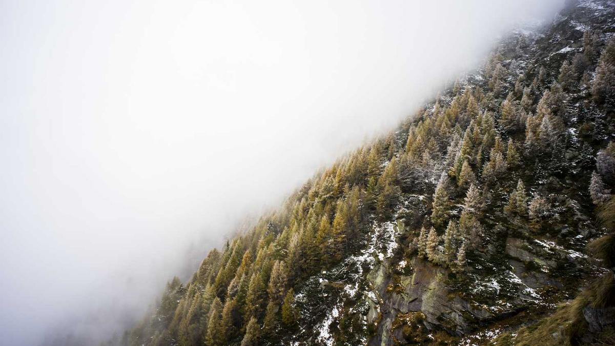 邯郸三日游最佳旅游攻略