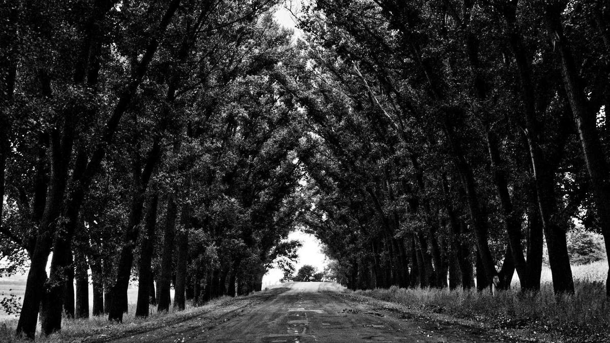 葫芦岛40个免费景点