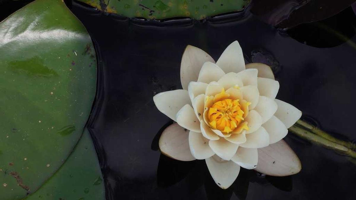 湖北襄阳最好的民办学校