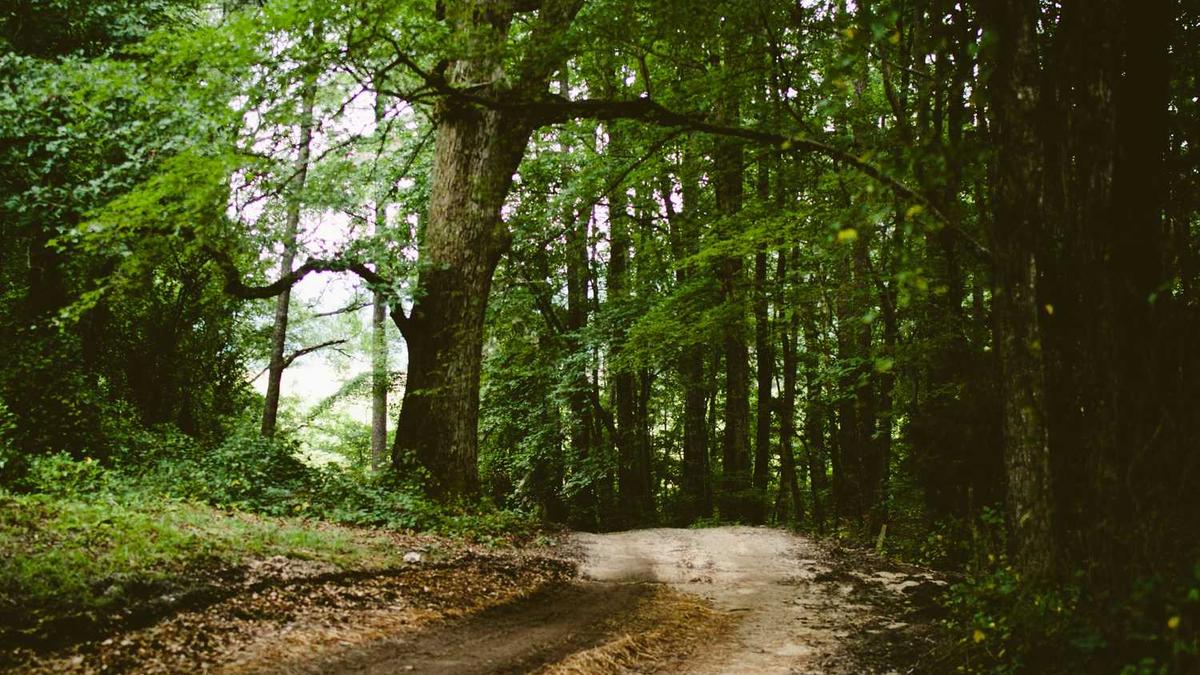 吉林农业大学杀人案回顾:因宿舍琐事,凶手持刀怒捅舍友!后来怎样?_百...