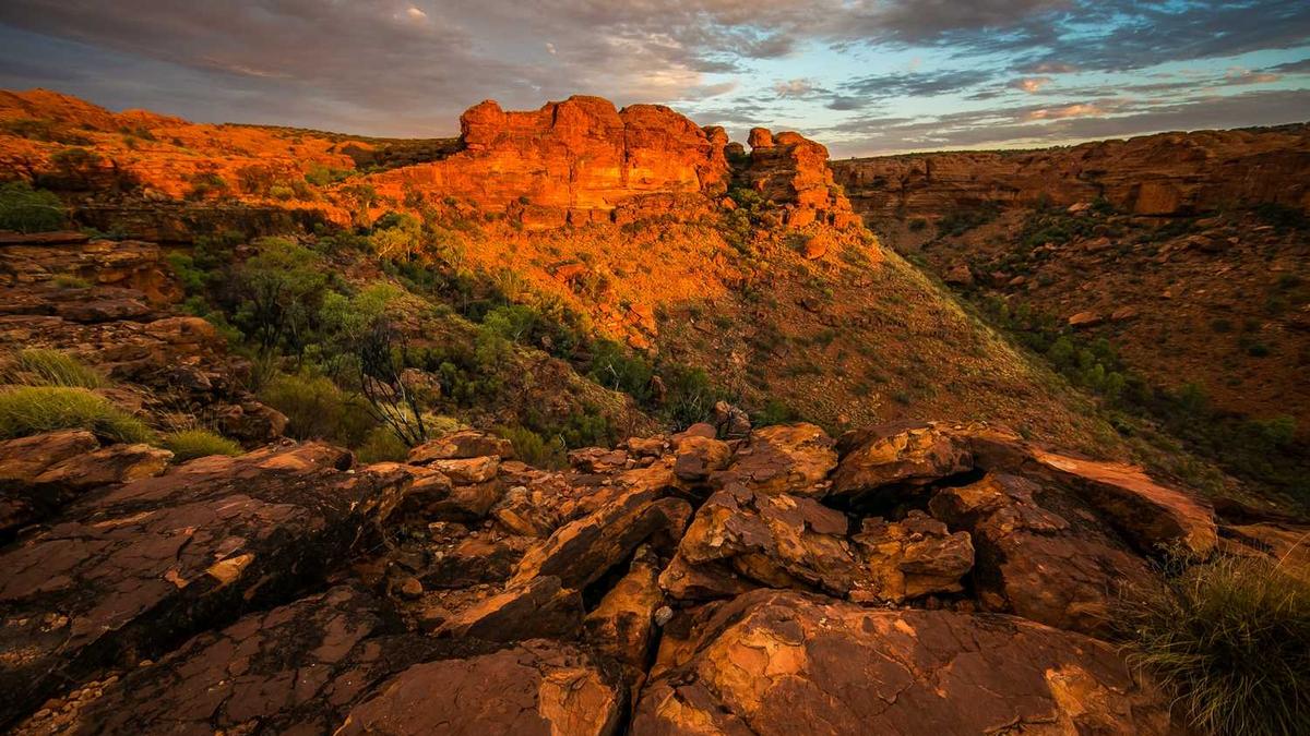 春节晚会主持词