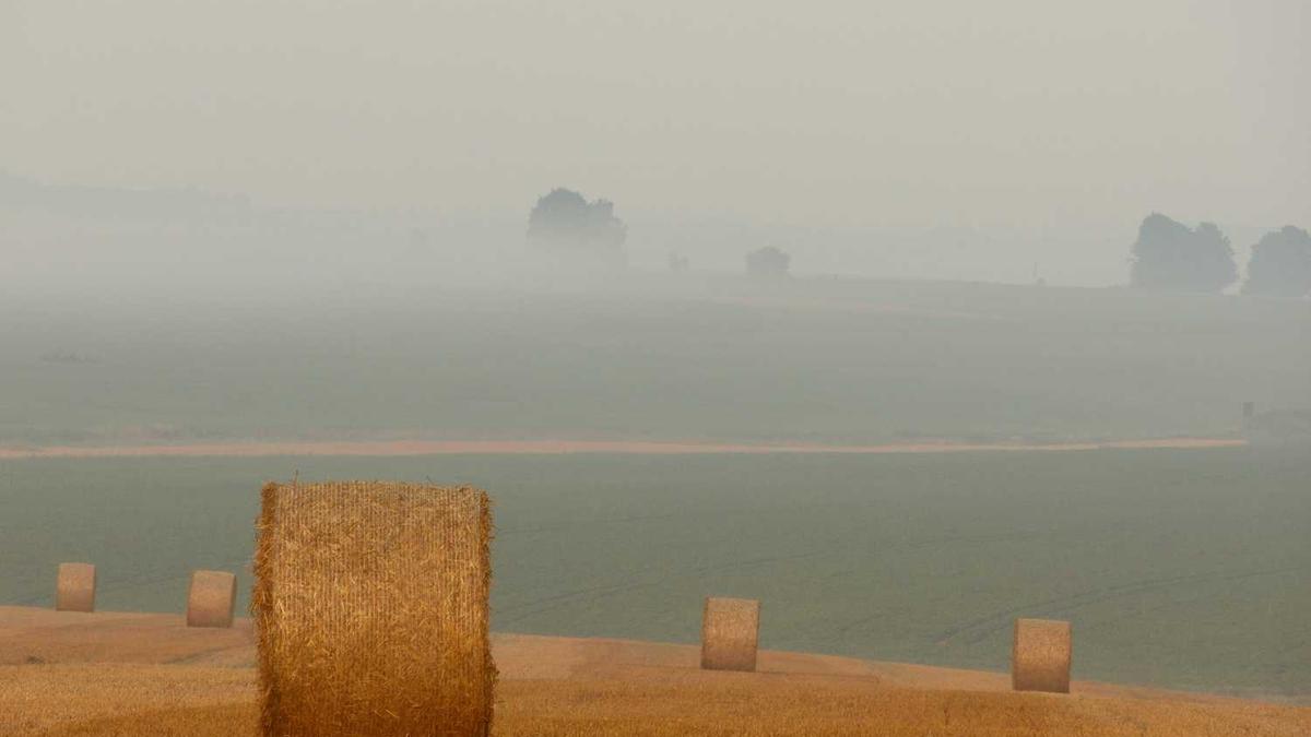 安阳五个免费景点