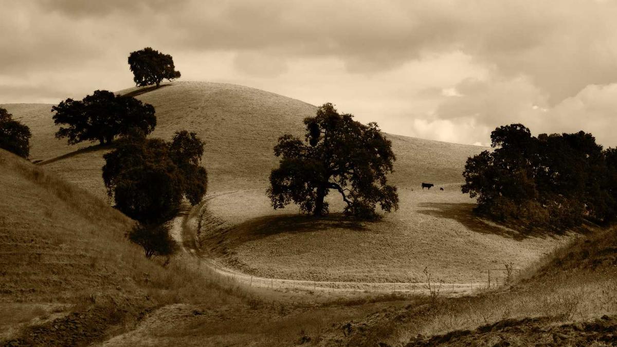 四川省南充市第一任市委书记是谁