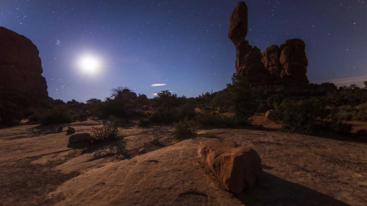 基孔肯雅热在广东的分布情况